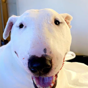 Meet your Posher, Jack